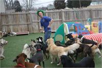 daycare pic 116 - boz with group